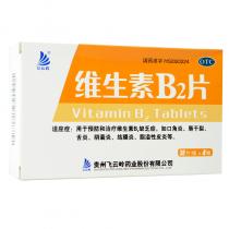 飞云岭维生素B2片120片